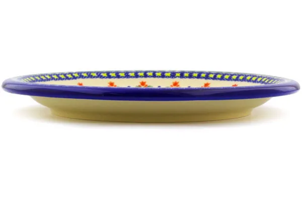 11" Dinner Plate - Cocentric Tulips