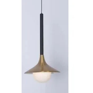 1266-1P Modern Hanging