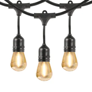 48 ft. 24W Soft White (2200K) S14 Shape (E26 Base) LED String Light Set