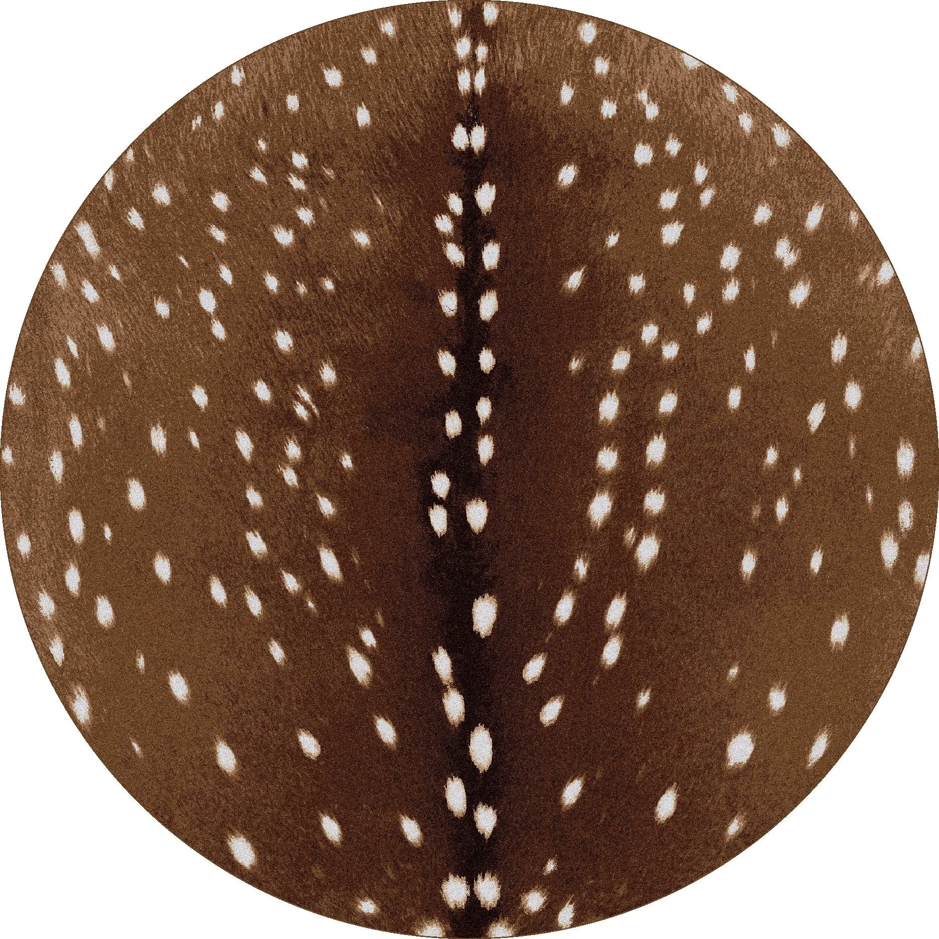 Axis Hide Area Rugs