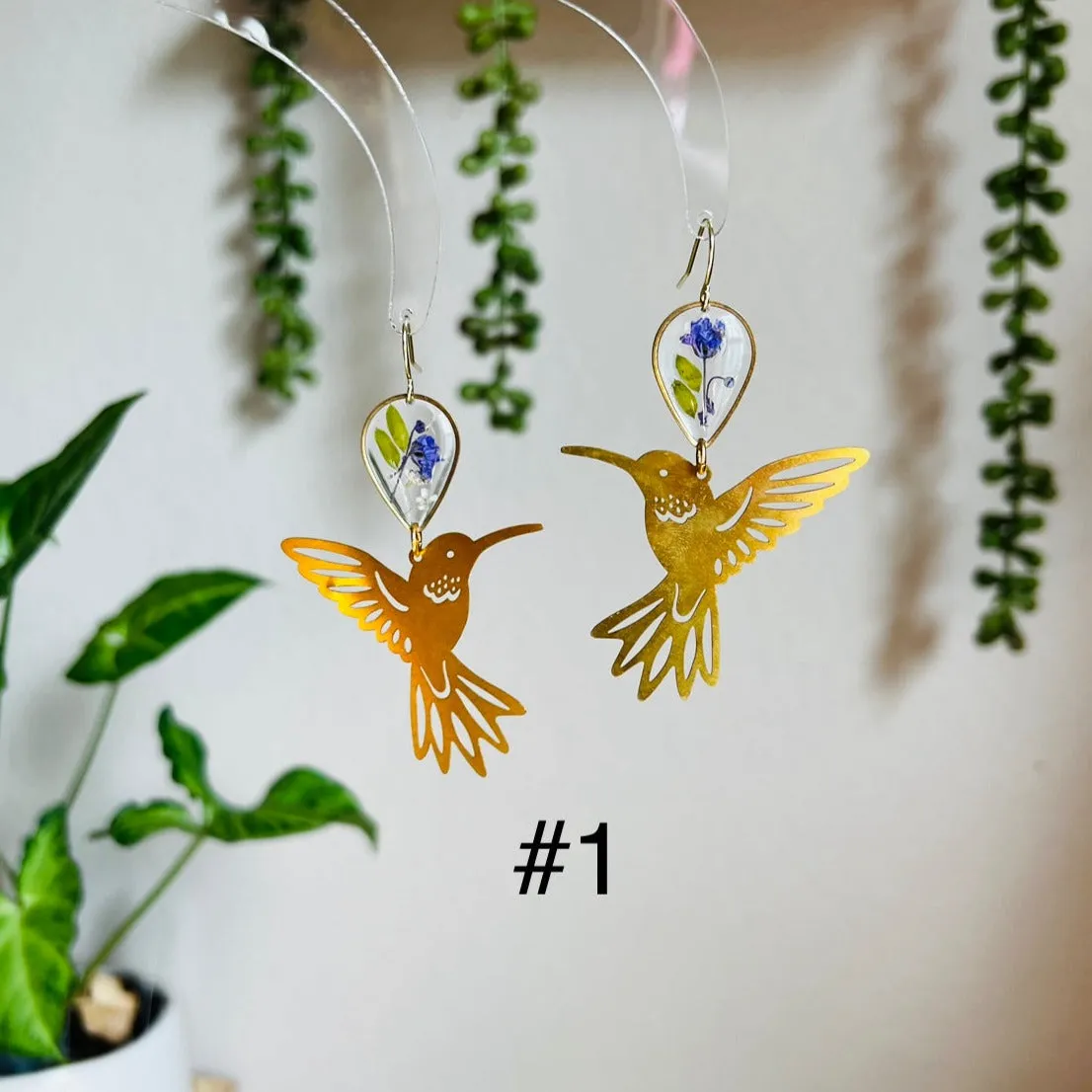 Humming Bird |  Colors