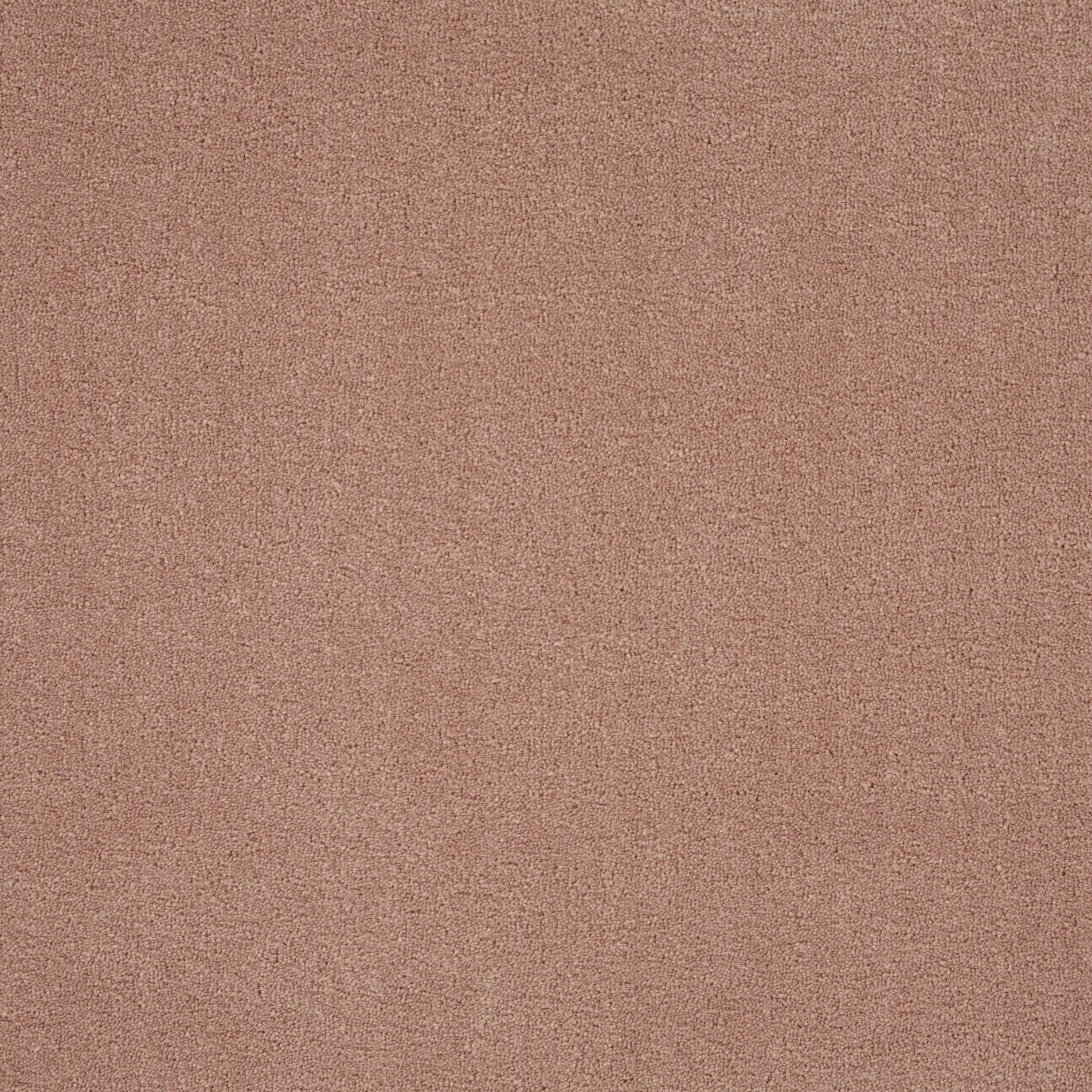 Imprint Custom Carpet