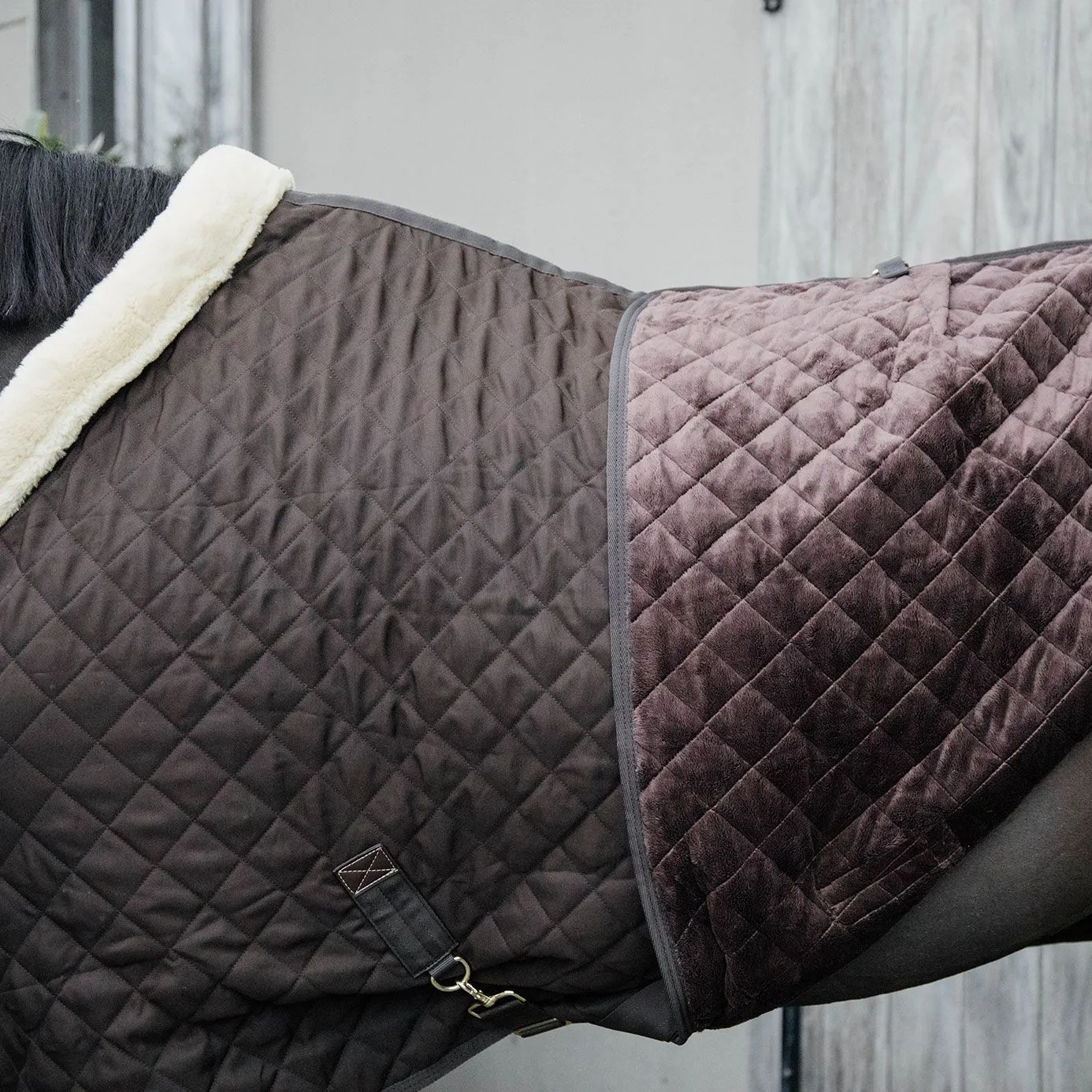 Kentucky Horsewear Show Rug - Brown
