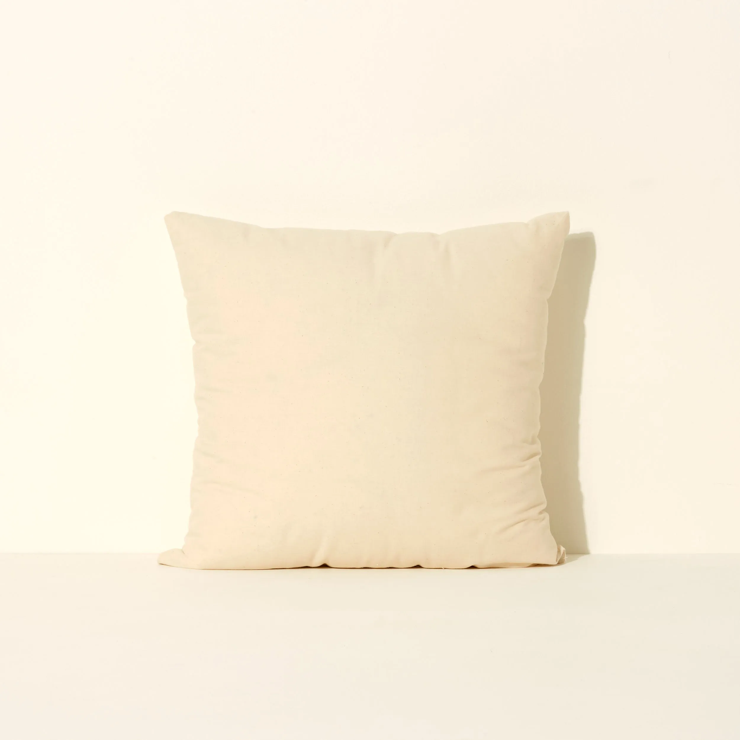 Pillow Insert