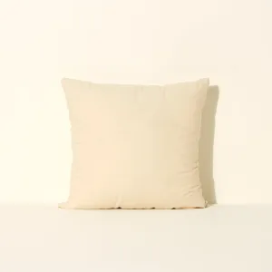 Pillow Insert