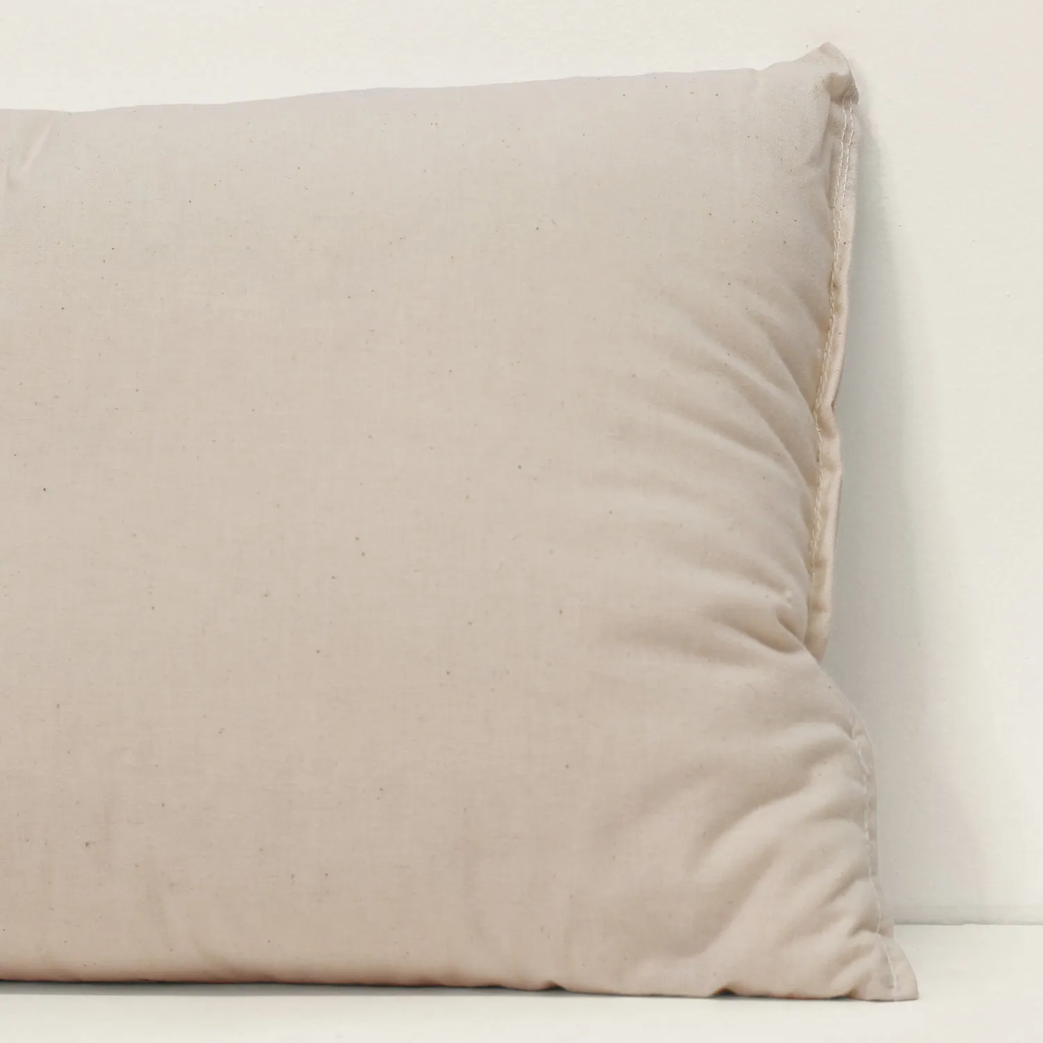 Pillow Insert