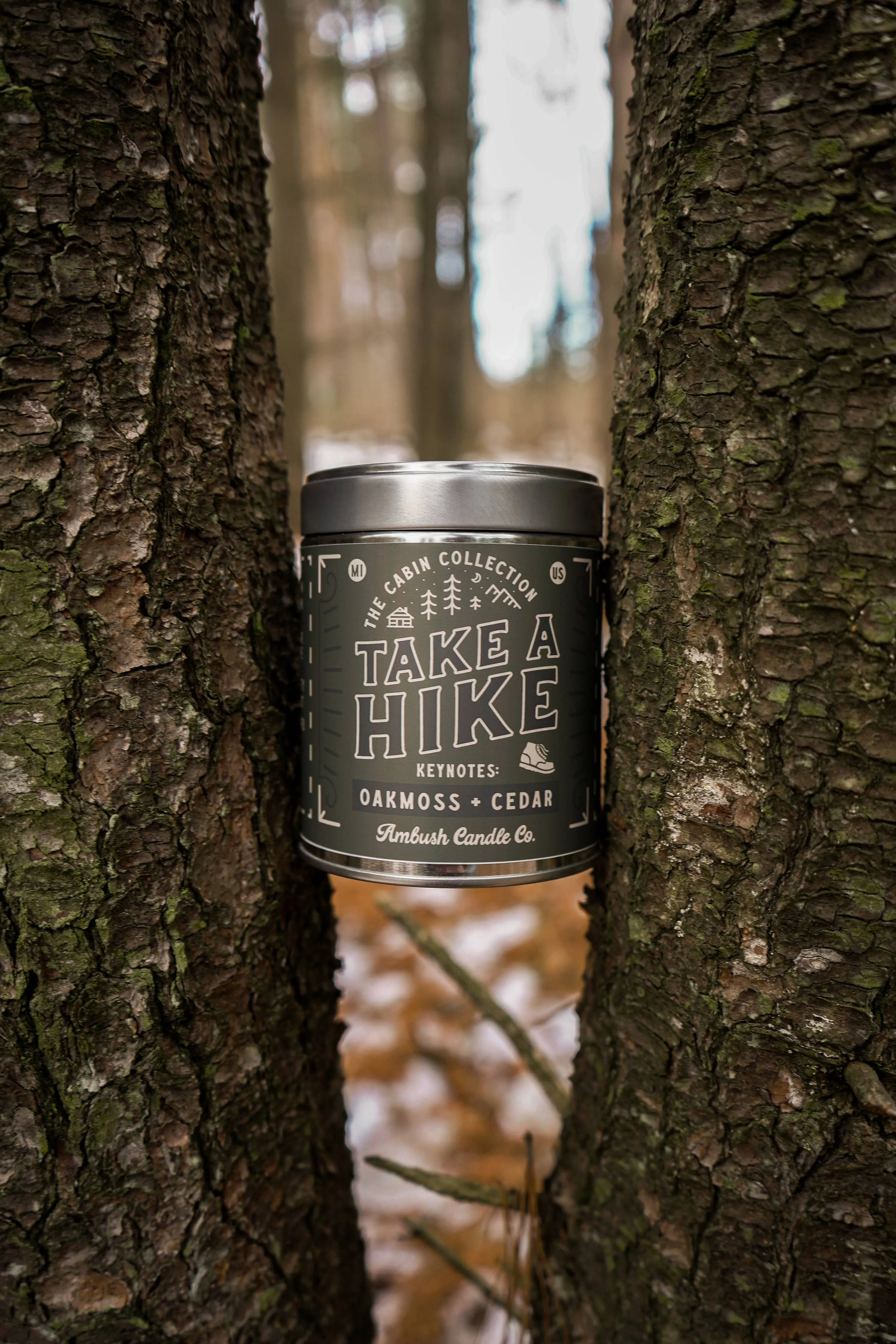 Take A Hike | Oakmoss   Cedar 14oz Soy Candle