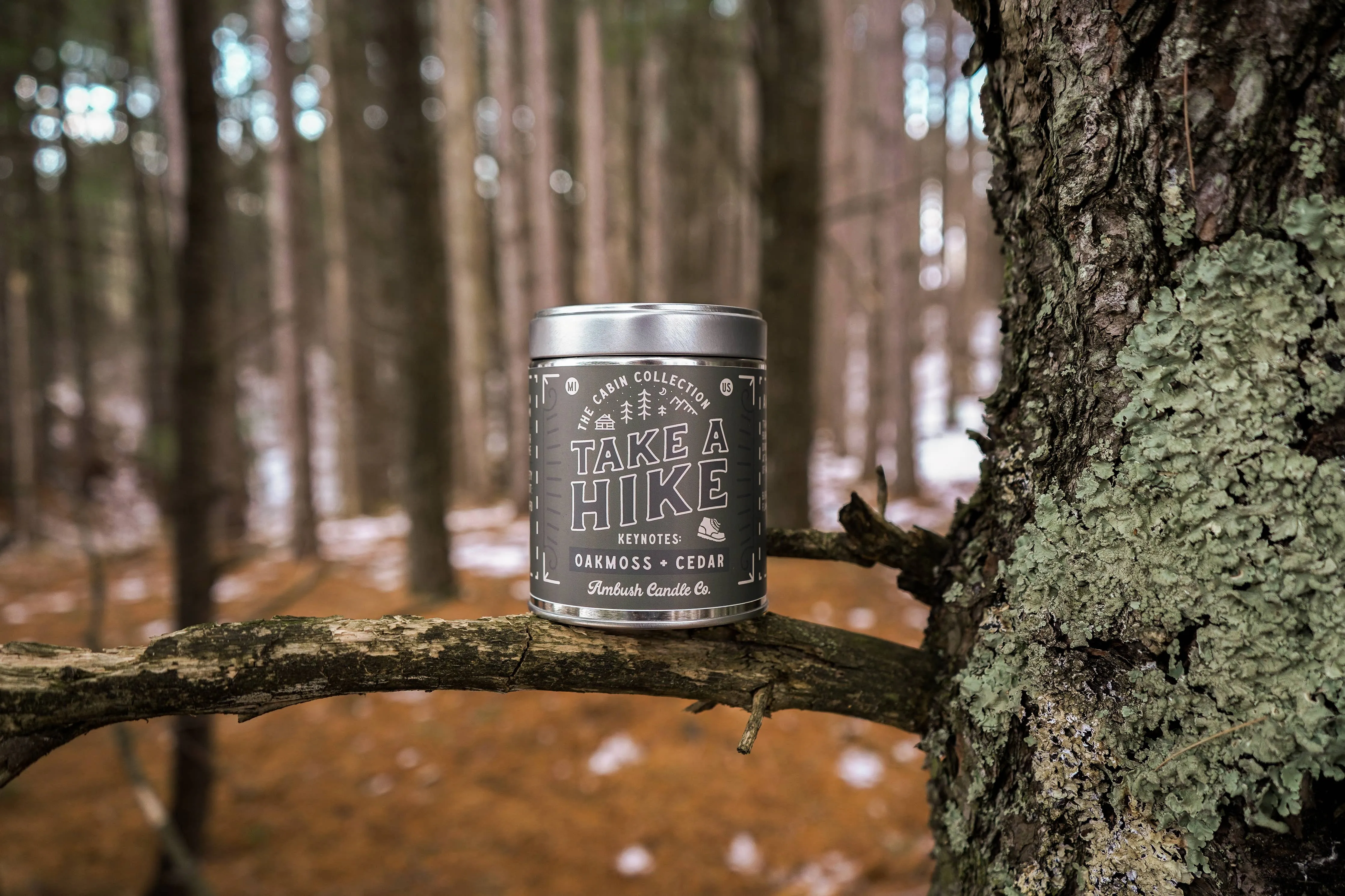 Take A Hike | Oakmoss   Cedar 14oz Soy Candle