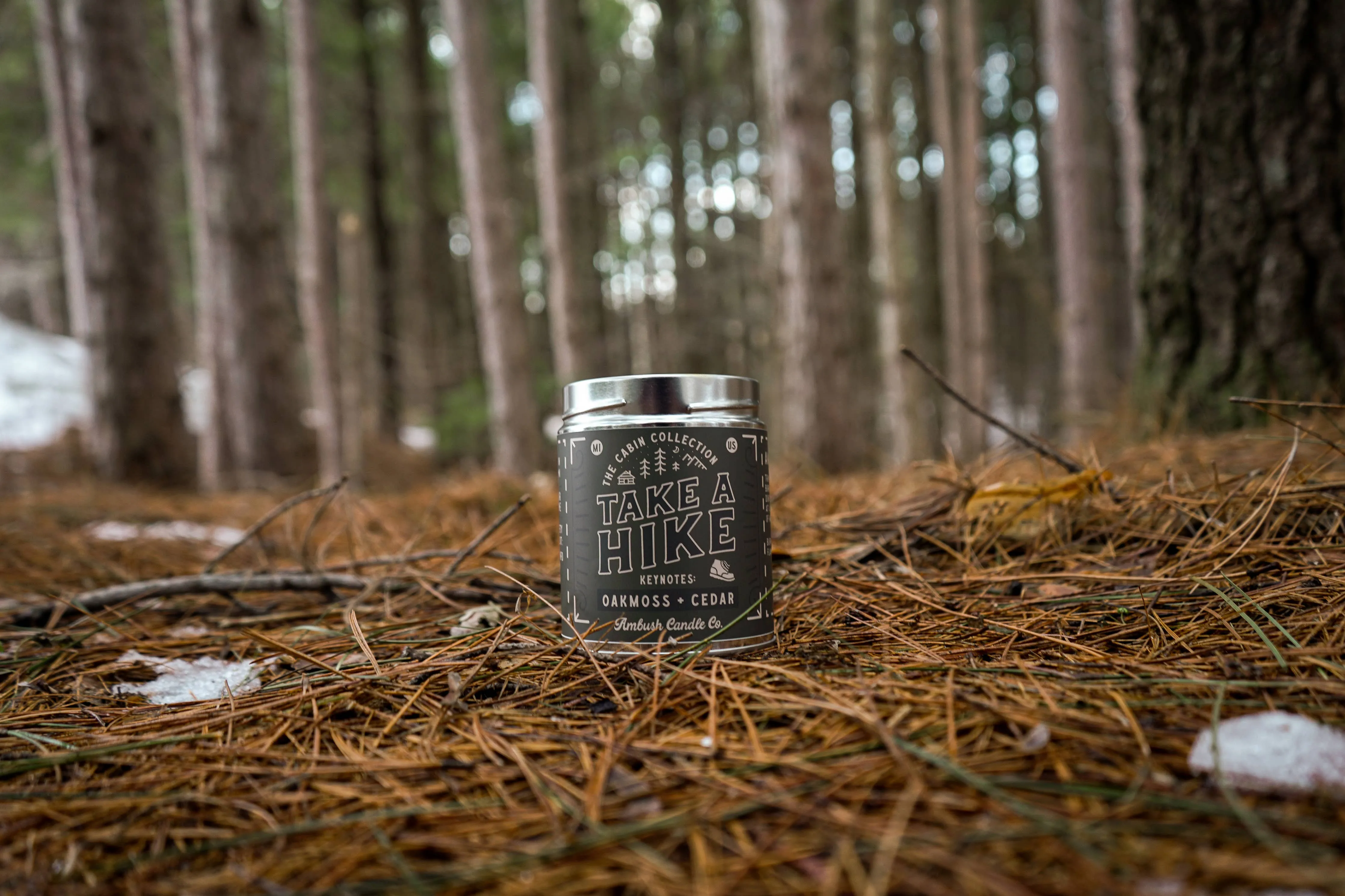 Take A Hike | Oakmoss   Cedar 14oz Soy Candle
