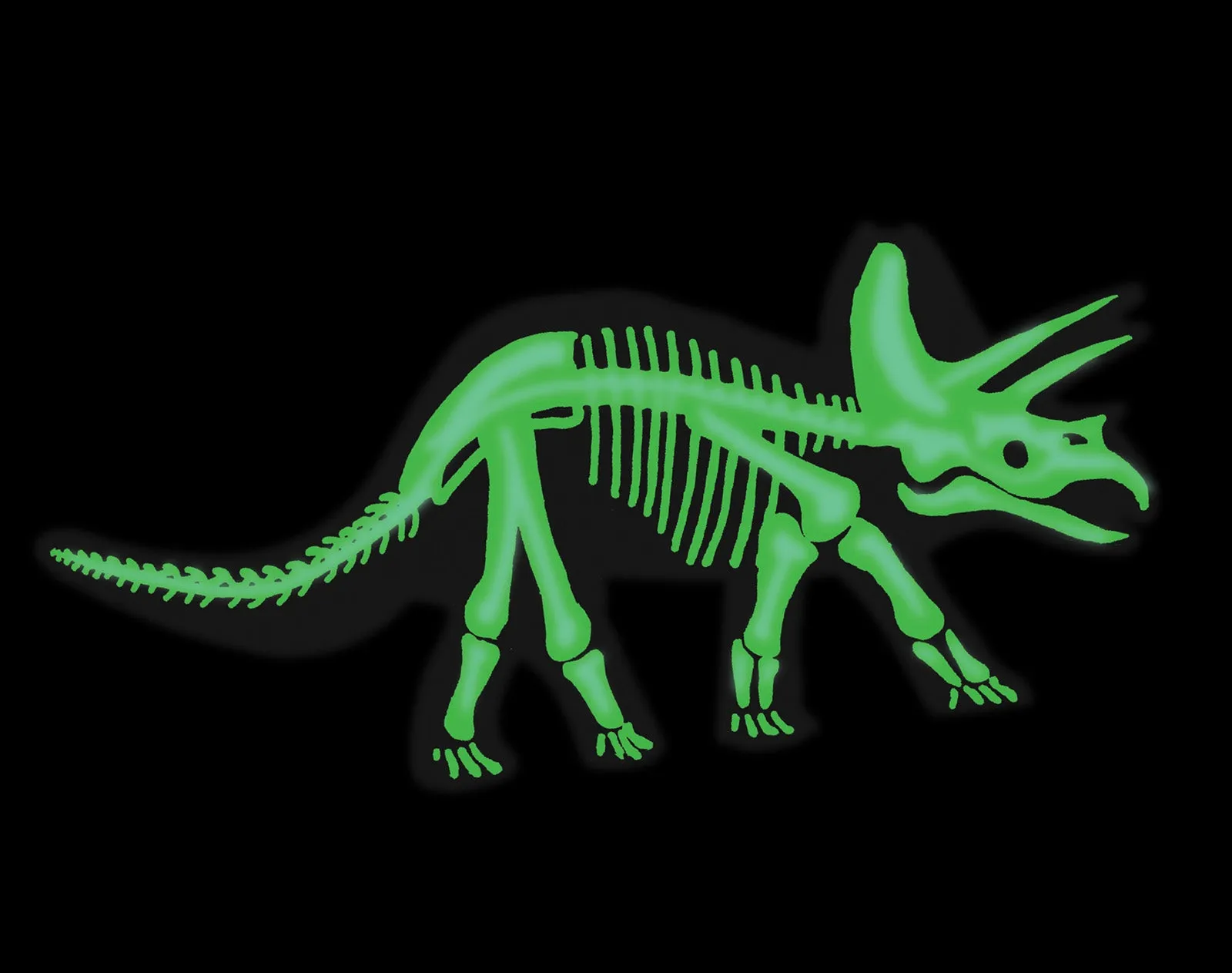 Triceratops 3D Glow-in-the-Dark Dinosaur